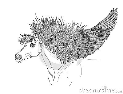 Beautiful Horse with mane and wings.Pegasus.Drawning by pen Stock Photo