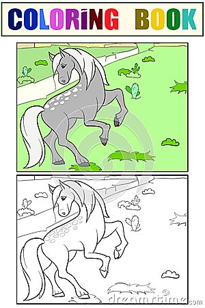 Beautiful horse playing in the meadow, reared. Set, example color picture and coloring book. Vector Illustration