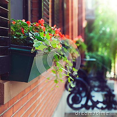 Beautiful houses in Boston, Massachusetts, USA Stock Photo