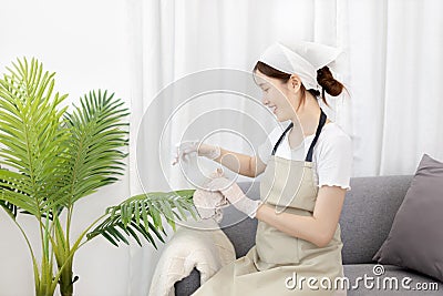 Beautiful housewife is cleaning things and vases in the living room Stock Photo