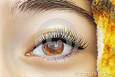 Beautiful human eye close-up. Makeup eye. Unnatural beauty Stock Photo