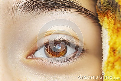 Beautiful human eye close-up. Unpainted eye. Natural beauty Stock Photo