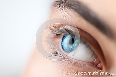 Beautiful human eye close-up. Young Woman Blue one eye macro shoot. Macro Closeup eye looking up, isolated on white Stock Photo