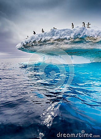 Beautiful icebergs with adelie penguins on top flow near Antarctic peninsula Stock Photo