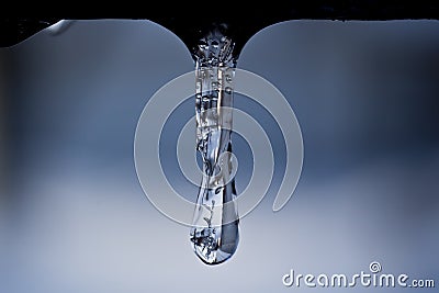 Beautiful icicle with blue background Stock Photo