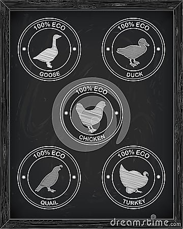 Beautiful icons chicken turkey duck goose quail Vector Illustration