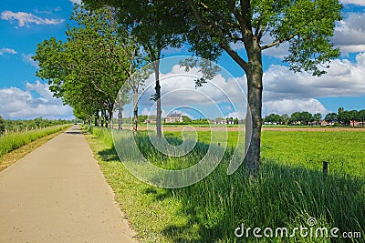 Beautiful idyllic dutch countryside rural landscape, cycle path, green tree line, agriculture field - Ohe en Laak, Netherlands Stock Photo