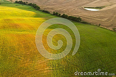 Beautiful idyllic summer landscape of Toscana with plants, hills, trees, fields and little pond. Stock Photo