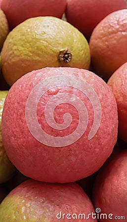 An up-close look at a cluster of ripe, vibrant guavas with intricate details Cartoon Illustration