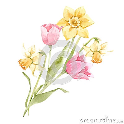 Beautiful image with watercolor gentle blooming spring flowers. Stock illustration. Cartoon Illustration