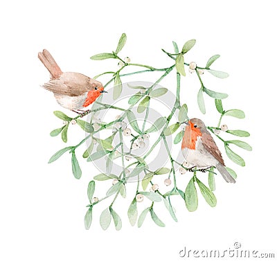 Beautiful image with watercolor mistletoe plant and robin bird. Stock illustraqtion. Stock Photo