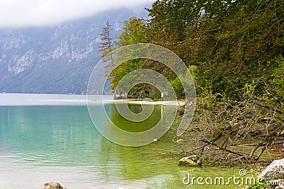 Beautiful and impressive scene in lake bohinj,Slovenia Stock Photo