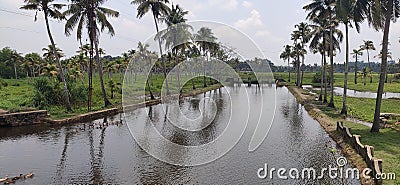 Inbound Waterways Kerala Stock Photo