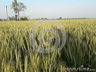 Beautiful Indian village outside photo Stock Photo