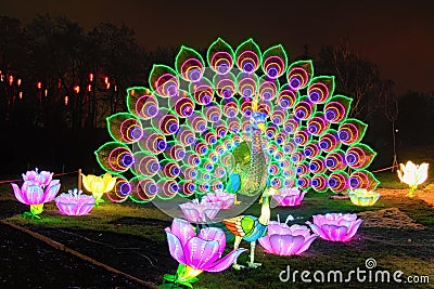 Beautiful installation of giant peacock illuminated by many lanterns. Editorial Stock Photo