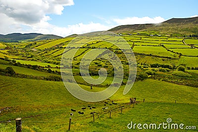 Beautiful Irish countryside with emerald green fields and meadows Stock Photo