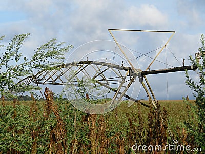 Beautiful irrigation system in the field to artificially water called pivot Stock Photo