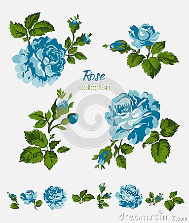 Beautiful isolated blue flowers on the white background. Set of different floral design elements Vector Illustration