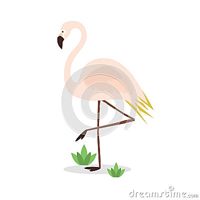 Beautiful isolated exotic pink flamingo on one leg on white background Vector Illustration