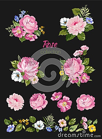 Beautiful isolated pink flowers on the white background. Set of different floral design elements Vector Illustration