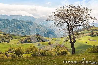 Beautiful Italian Countryside Landscape over Rolling Hills and B Stock Photo