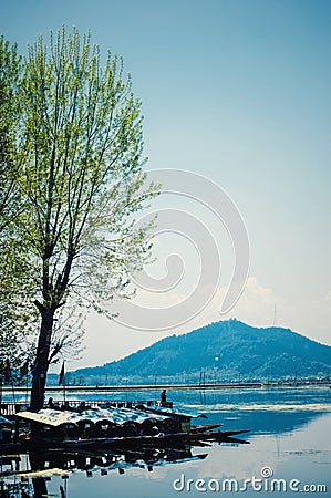 Beautiful Kashmir India vacation dal lake Stock Photo