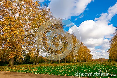 Beautiful Kensington Gardens the Royal Parks for walked and relaxed, London. Stock Photo