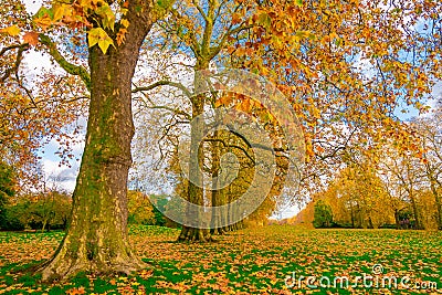 Beautiful Kensington Gardens the Royal Parks for walked and relaxed, London. Stock Photo