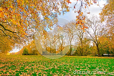 Beautiful Kensington Gardens the Royal Parks for walked and relaxed, London. Stock Photo