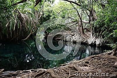 The beautiful Kikuletwa hot springs close to Moshi Stock Photo