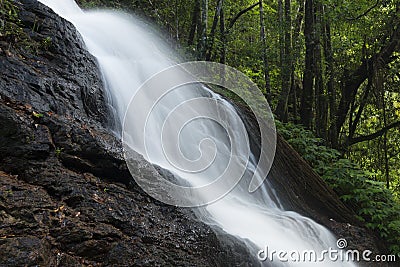 Kondalilla Falls in Kondalilla Falls National Park. Stock Photo
