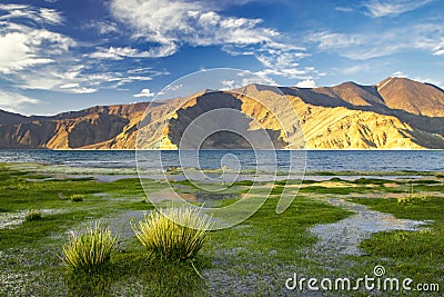 beautiful lakeside landscape with distant mountains and grassland in foreground Stock Photo