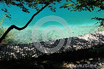 Beautiful lakeside. Pure clear water, fish, wood foot-path Stock Photo