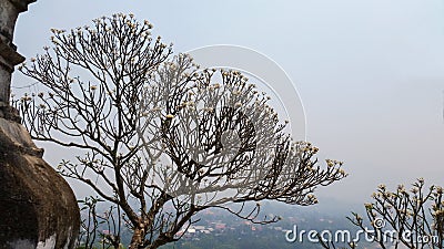 Beautiful landscap at Luangprabang Loas from top of hill Stock Photo