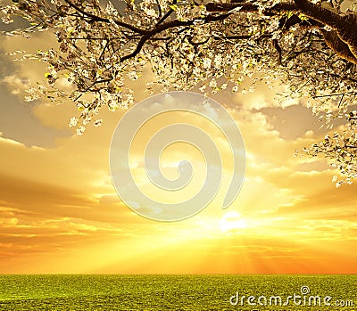 Beautiful landscape Stock Photo