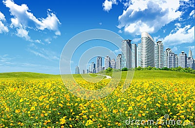 Beautiful landscape Stock Photo