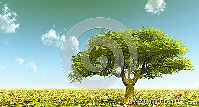 Beautiful landscape Stock Photo