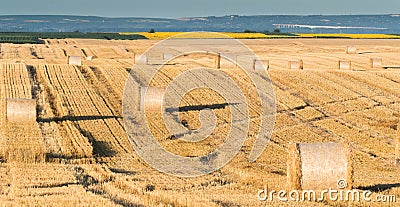 Beautiful landscape of agricultural wheat field - Round bundles Stock Photo