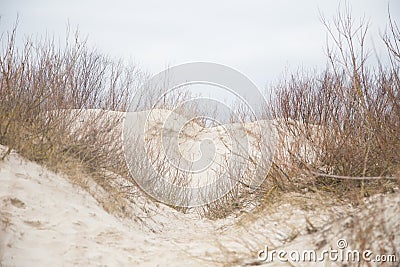 A beautiful landscape of dunes on the coastline of Baltic sea Stock Photo