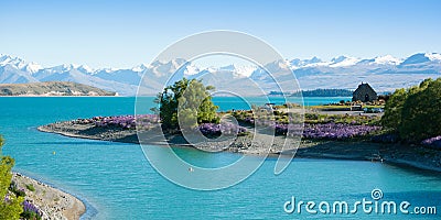 Beautiful landscape of garden, lake and snow mountain at Lake Tekapo, South Island, New Zealand Stock Photo