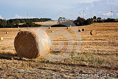 Beautiful landscape of golden fields Germany Stock Photo