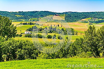 Beautiful landscape of the green hilly Tuscany Stock Photo