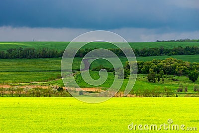 Beautiful landscape, green and yellow field. Dramatic sky with clouds Stock Photo