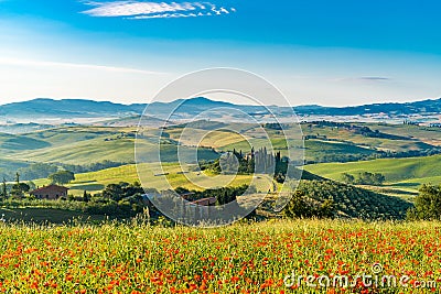 Beautiful landscape of hilly Tuscany in summer sunny morning Stock Photo