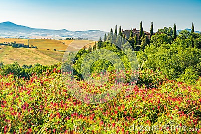 Beautiful landscape of hilly Tuscany in the sunny day at Valdocia Italy Stock Photo