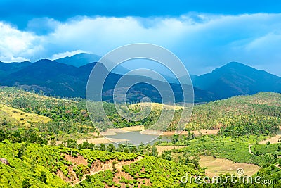 Beautiful landscape of India with green tea plantations, river, Stock Photo