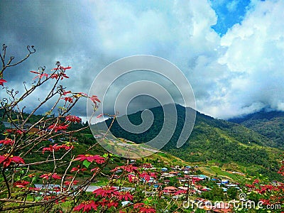 Landscape at Kundasang village, Ranau in Sabah, Malaysia. Stock Photo