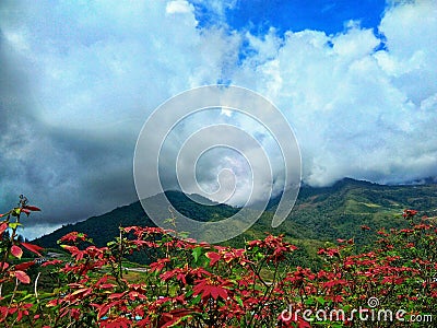 Landscape at Kundasang village, Ranau in Sabah, Malaysia. Stock Photo