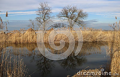 Landscape at Hansag Stock Photo