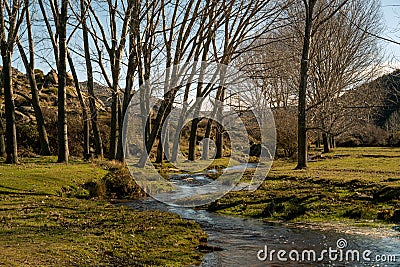 Beautiful landscape with leafless trees and a small cree, tranquil early spring scenery Stock Photo
